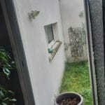 A view through a glass door into a small, enclosed courtyard with overgrown grass, a potted plant, and white walls with a window.